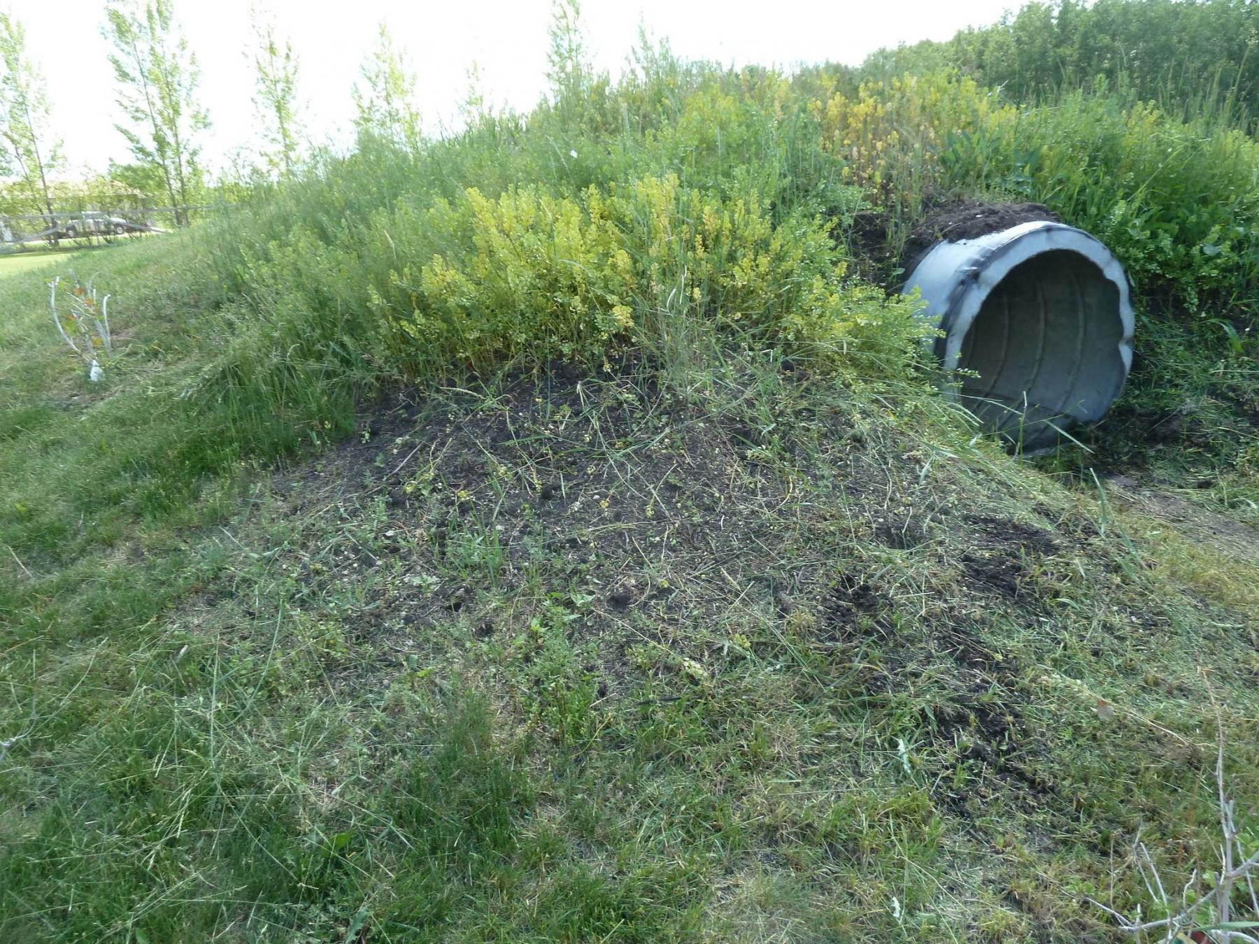 <p>LAURIE MUSTARD / WINNIPEG FREE PRESS</p><p>A concrete culvert marks the tunnel entrance to the tornado shelter buried under lawn-type soil.</p></p>