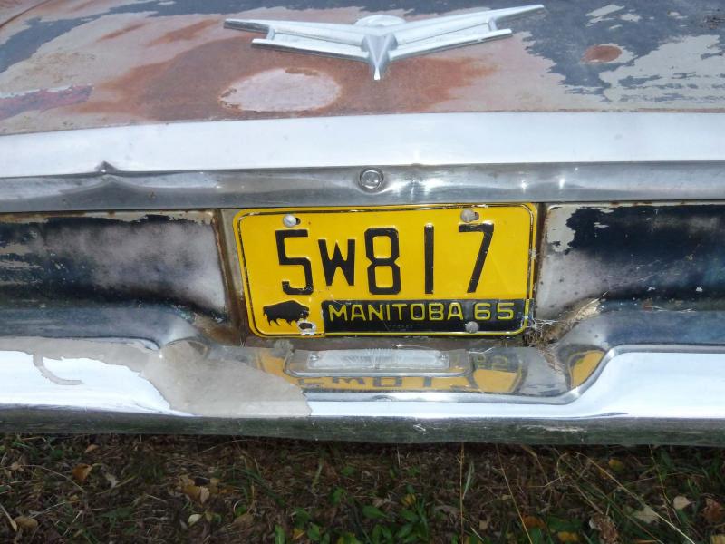 <p>Photos by Laurie Mustard / Winnipeg Free Press</p><p>From Day 1, ‘Fins,&rsquo; the 1959 Buick LeSabre last driven in &rsquo;65, didn&rsquo;t run smoothly or dependably &mdash; unless he decided to run on his own! Now, he&rsquo;s yard art and a perch for the cats while they survey their kingdom.</p>