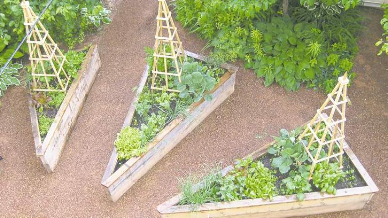 Gardening in elevated beds is easy and puts you in control - Winnipeg Free Press Homes on Triangle Garden Design
 id=14380