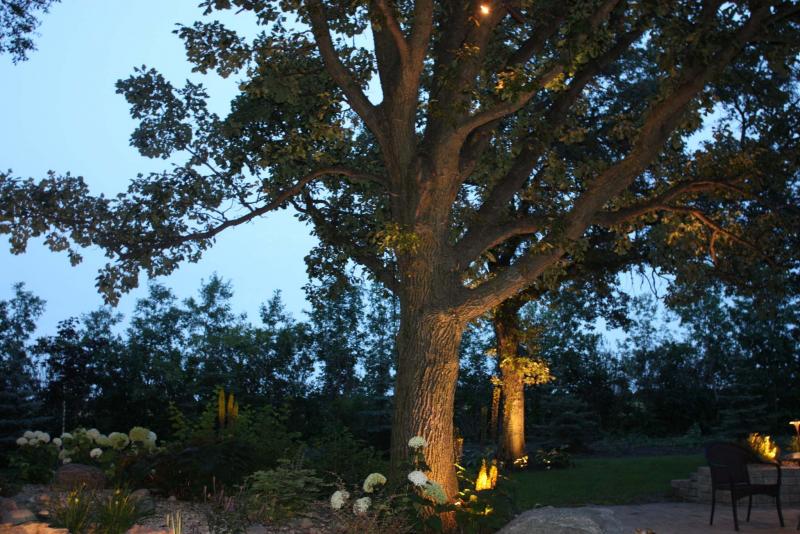 <p>Lynne Melvin</p><p>Uplighting or downlighting trees is an effective tool to hightlight their character and casts warm light on focal points.</p>