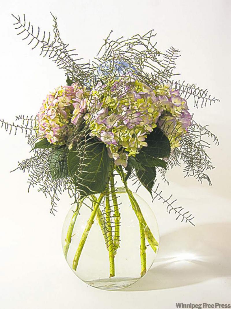 Hydrangeas in glass. 