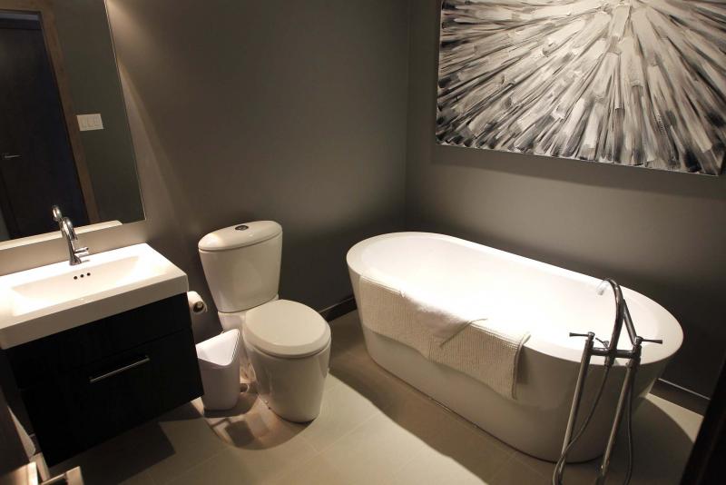<p>BORIS MINKEVICH / WINNIPEG FREE PRESS</p><p>USED HOMES - 153 Rue Hebert in St. Boniface. Bathroom with fancy tub. Nov. 29, 2016</p>
