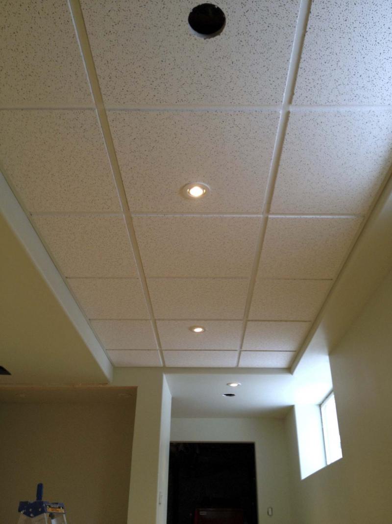 Sometimes Only A Suspended Ceiling Will Do Winnipeg Free Press Homes