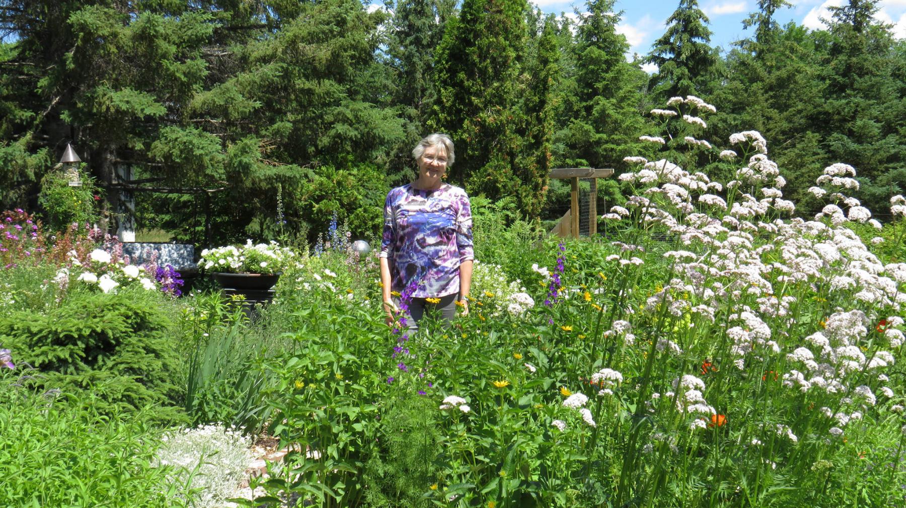 <p>Colleen Zacharias / Winnipeg Free Press</p><p>Leila Wegert stands in her gorgeous garden in St. Andrews. On the right stands the Valerian plant.</p>