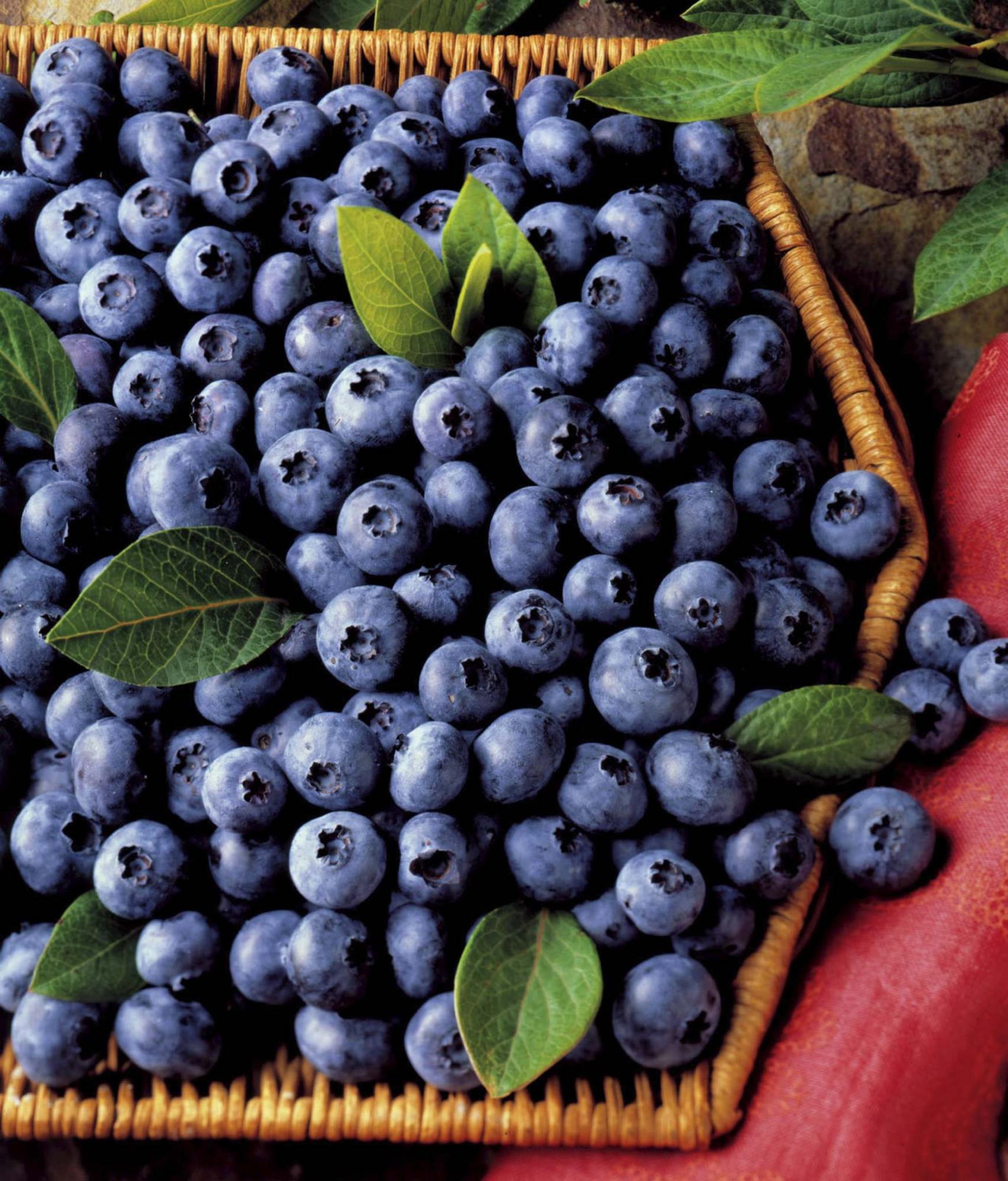 <p>Highbush Blueberry Council</p><p>It&rsquo;s tough to beat the flavour of fresh blueberries, but if you&rsquo;re using frozen blueberries in a recipe, do not allow them to thaw first.</p>