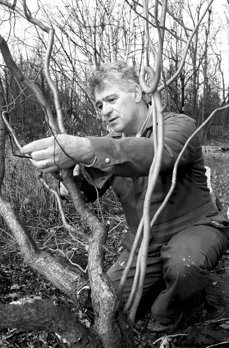 âGardening allows you time to think,â says Canadaâs guru of gardening Ed Lawrence.