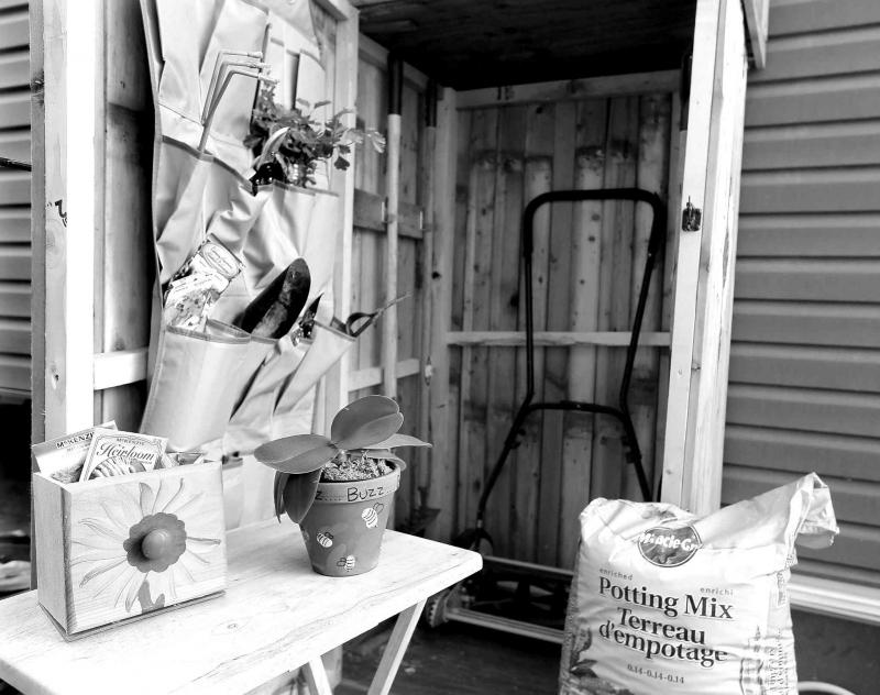 Pallets are a great source of free wood for your building projects.
