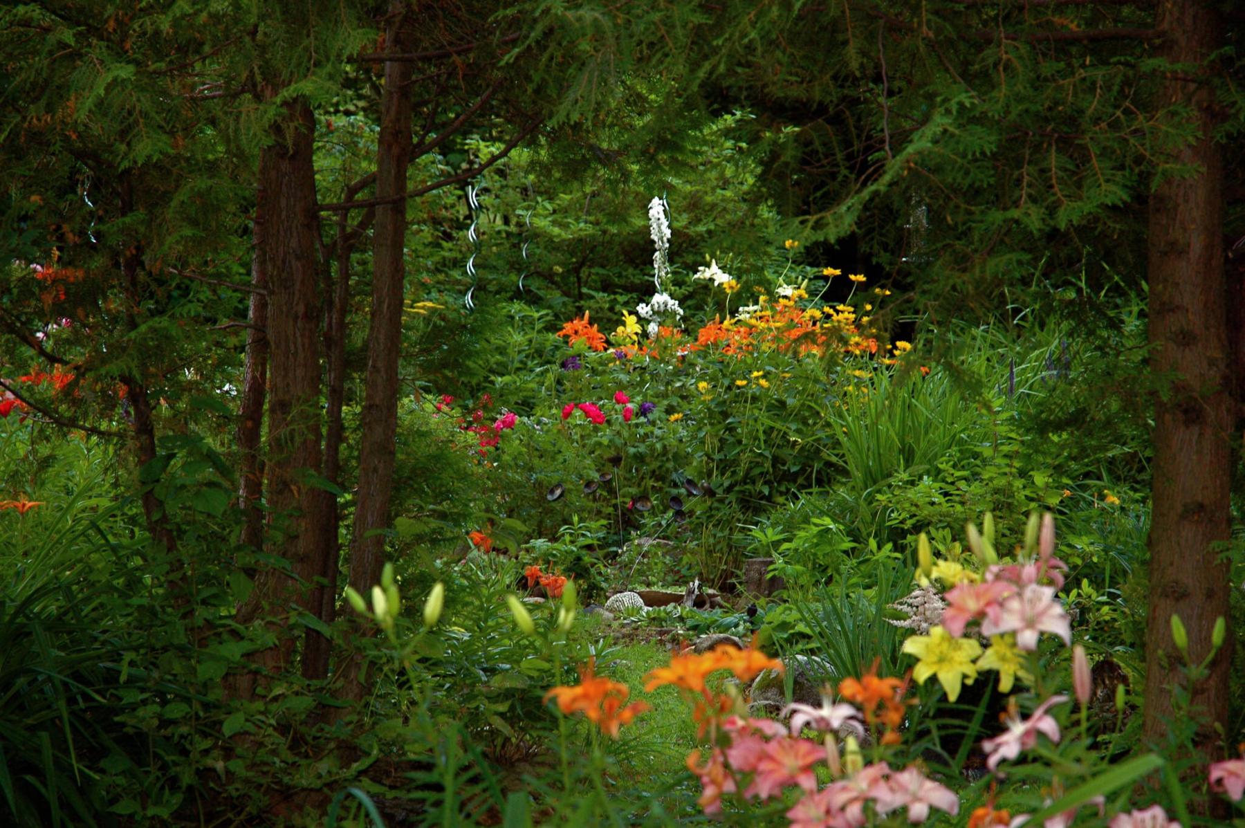  <p>Becky Slater photo</p>
                                <p>Eighty to 90 per cent of Winnipeg&rsquo;s three million trees are on private property. A private tree bylaw could help protect them.</p> 