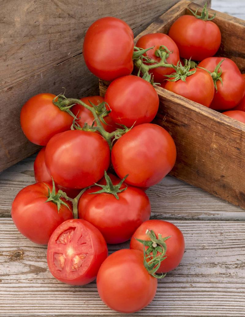 <p>Burpee Seeds</p><p>For tomatoes, cut lower branches to improve airflow. Remove leaves at first sign of infection.</p>