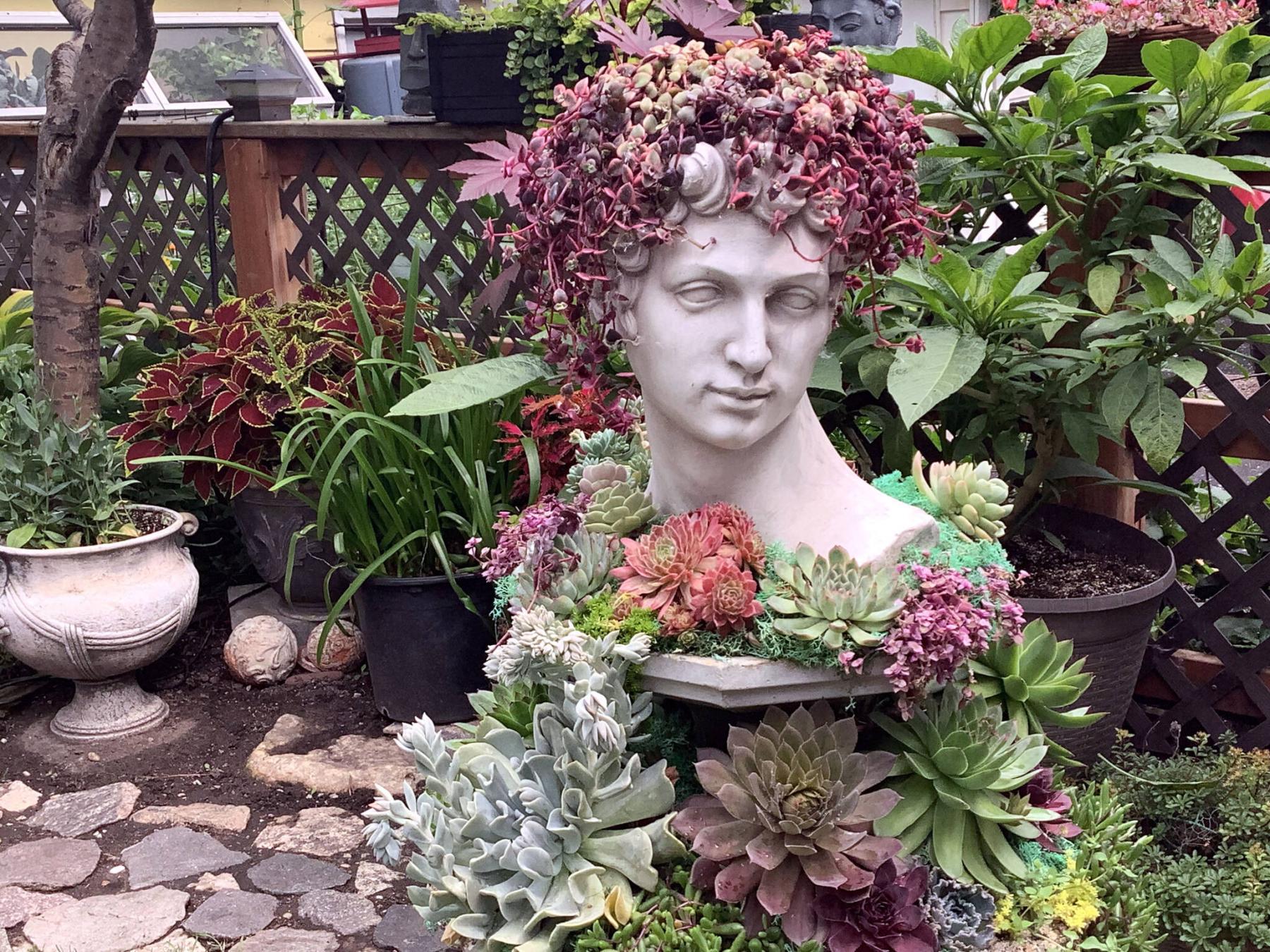  <p>Gwen Beam photo</p>
                                <p>Trailing Calico Kitten Crassula forms the &lsquo;hair&rsquo; on this stunning sculptural stone planter decorated with tender succulents which must be overwintered indoors.</p> 