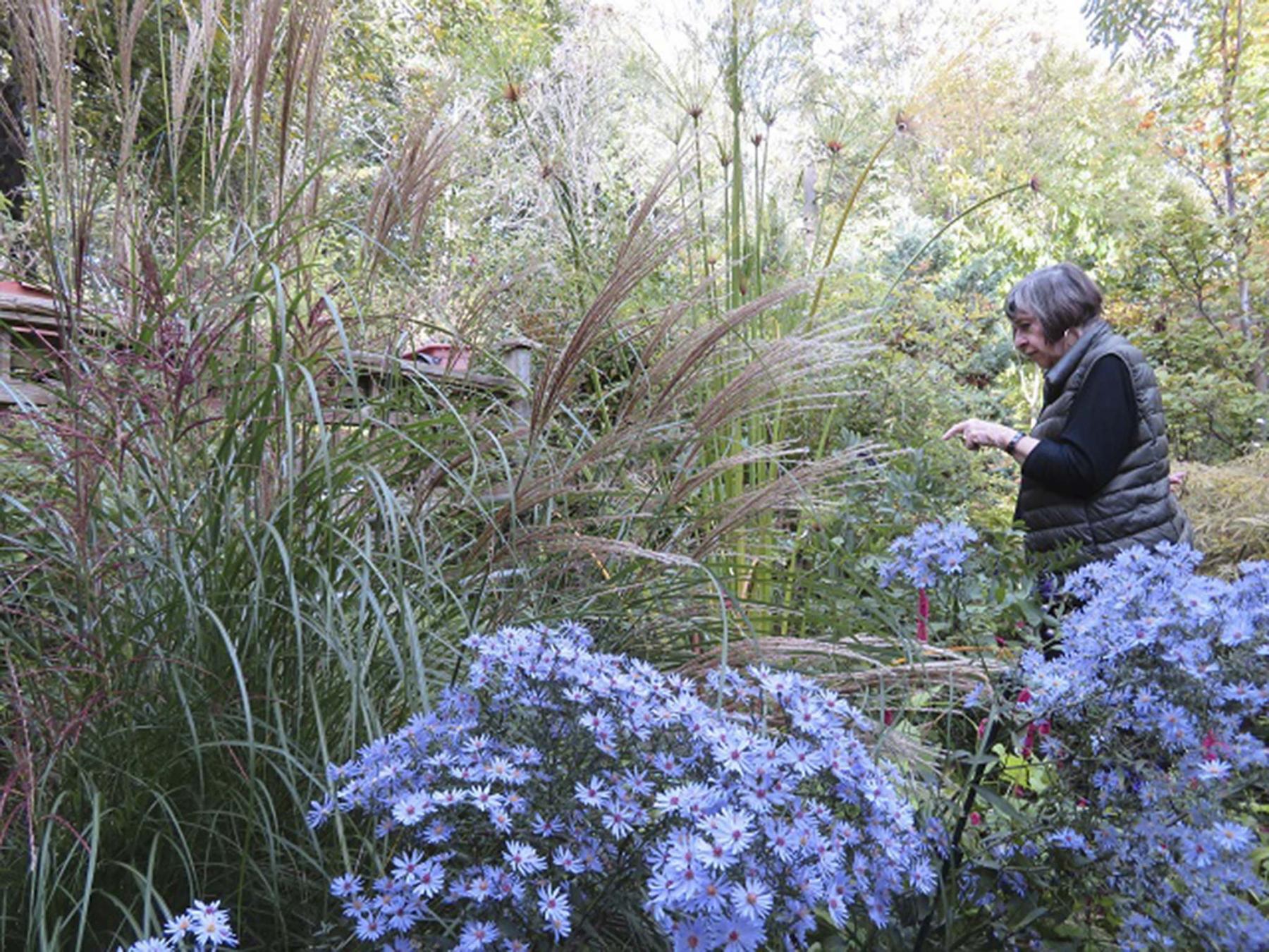 <p>Marilyn Dudek</p><p>Marjorie Harris's garden has rich layers and a tapestry of colour. </p></p></p>