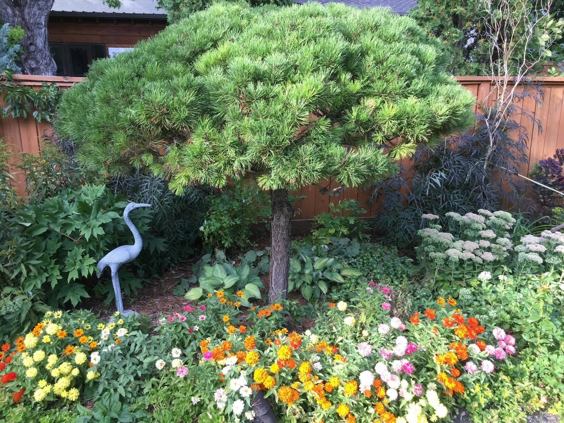  <p>Sheila Shawn</p>
                                <p>Structural appeal is on full display in Sheila Shawn&rsquo;s garden, part of Urban Retreats 25th Anniversary Garden Tour.</p> 