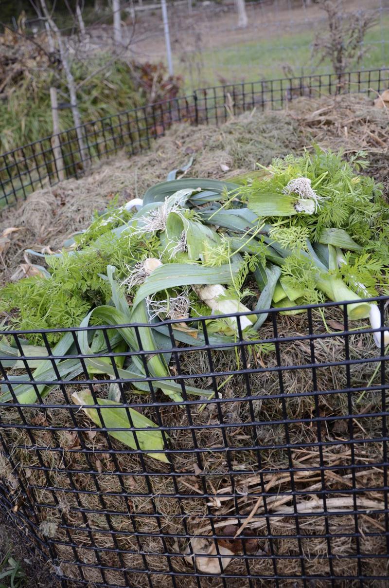 <p>Barbara Damrosch</p><p>Composting reduces the amount of methane gas produced at landfills and creates nutrient-rich soil for growing.</p>