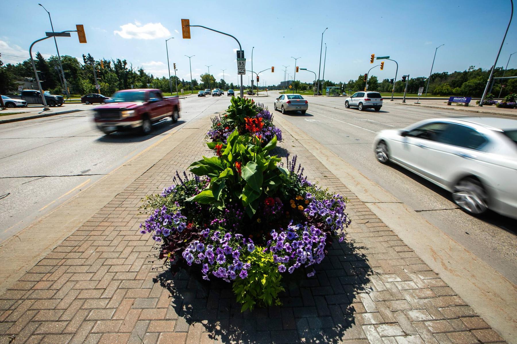  The city is swapping its old concrete planters for new models, like these, that include water reservoirs at the bottom. (Mikaela MacKenzie / Free Press) 