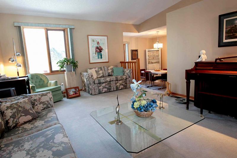 The living room, with two huge windows and a vaulted ceiling, opens up nicely.