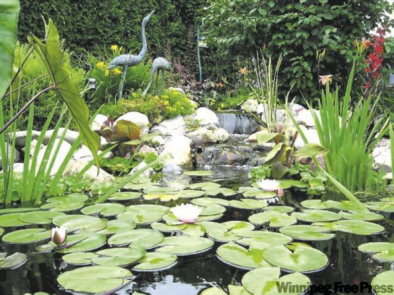 Water features add both sound and sight to your yard, and with today's technology have never been easier to install.
