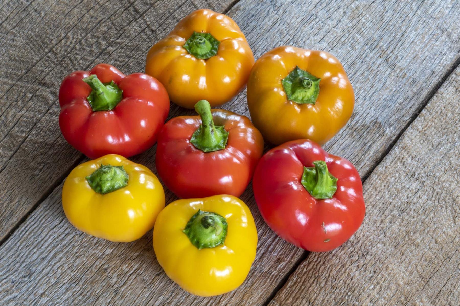 <p>West Coast Seeds</p><p>Colourful Hungarian Cheese Blend peppers were snapped up by veggie growers this year.</p>