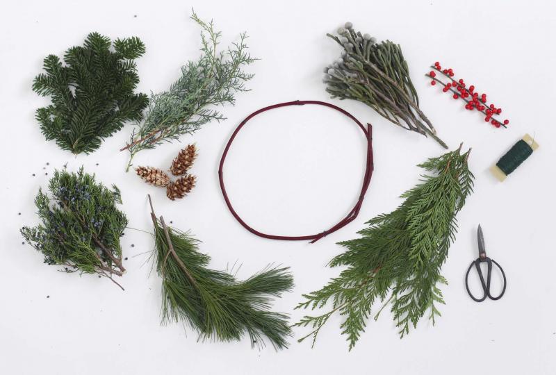 <p>Verde Plant Design</p><p>To get started, you will need fresh greens, berries, a wreath base, wire, and scissors. Condition greenery before use.</p></p>