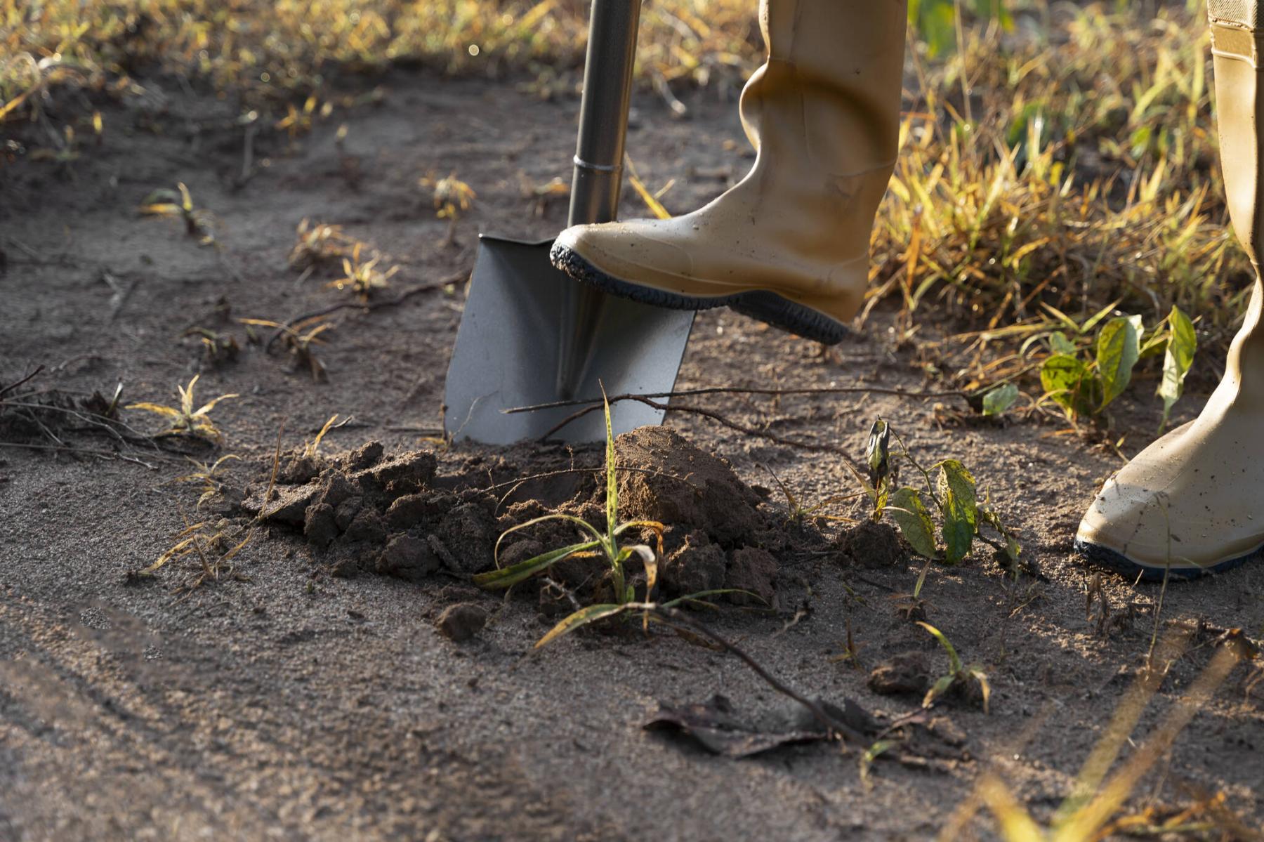  <p>Supplied</p>
                                <p>Before you dig a hole at the start of a project, do some research and find out what sort of utility infrastructure might be buried beneath the surface.</p> 