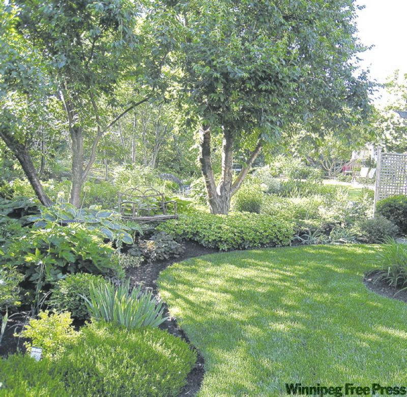 Perennials can be added to the border all season long.