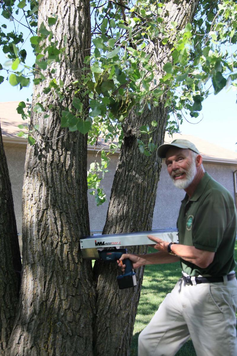 <p>Supplied</p><p>Michael Allen uses a resitograph to detect tree decay, which can help determine a tree&rsquo;s stability.</p>