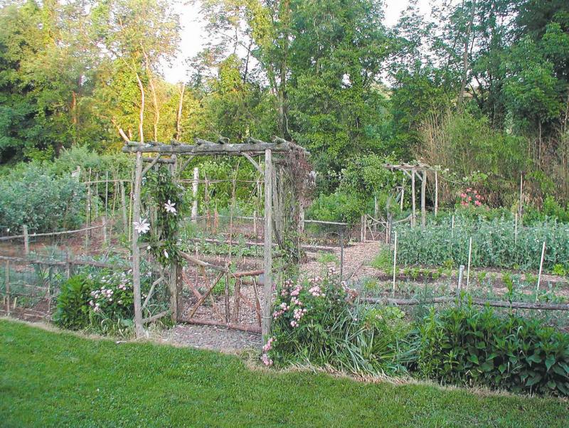 Growing your own vegetables takes advanced planning.