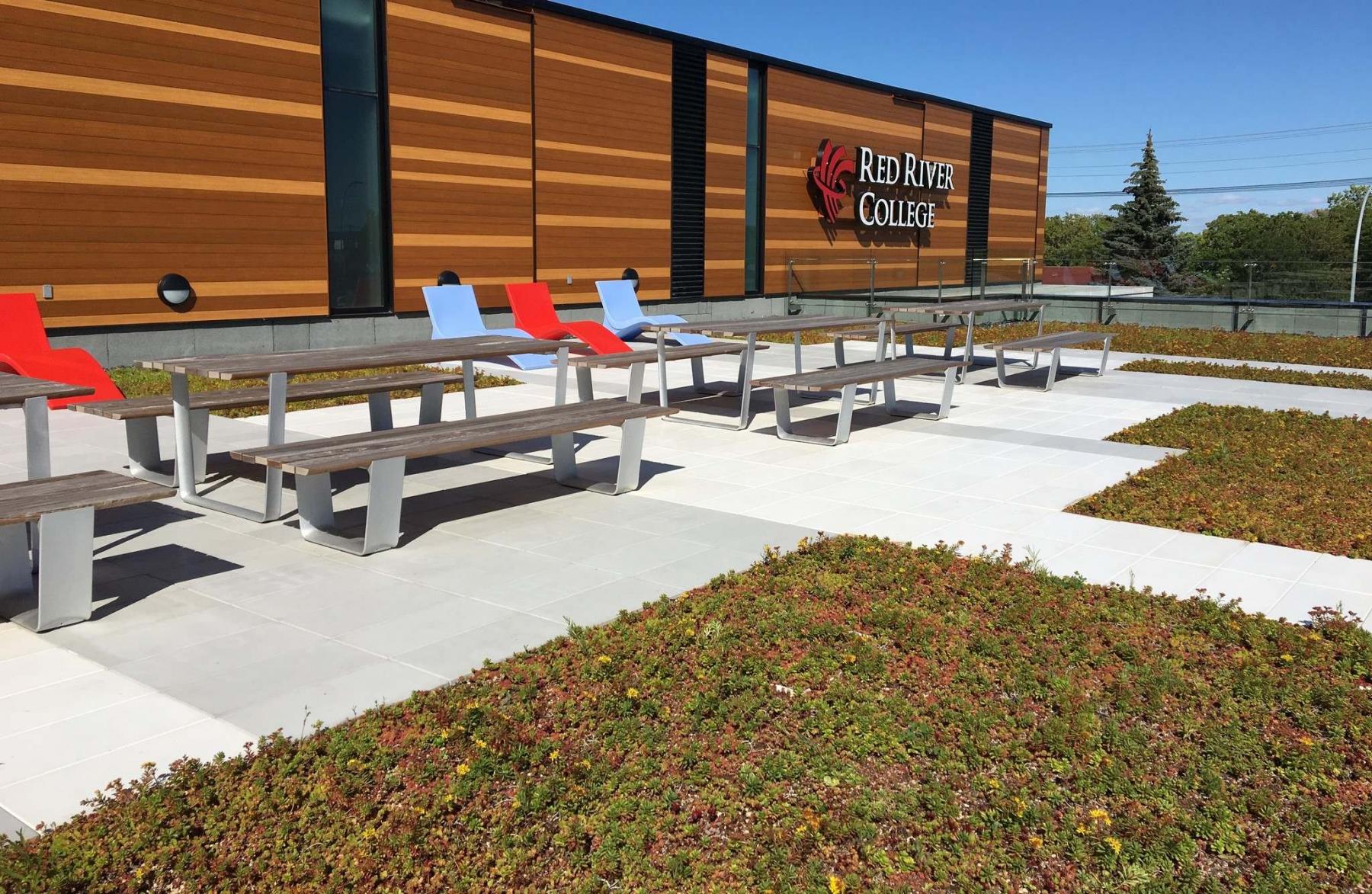 <p>LiveRoof</p><p>The green roof at Red River College. </p>