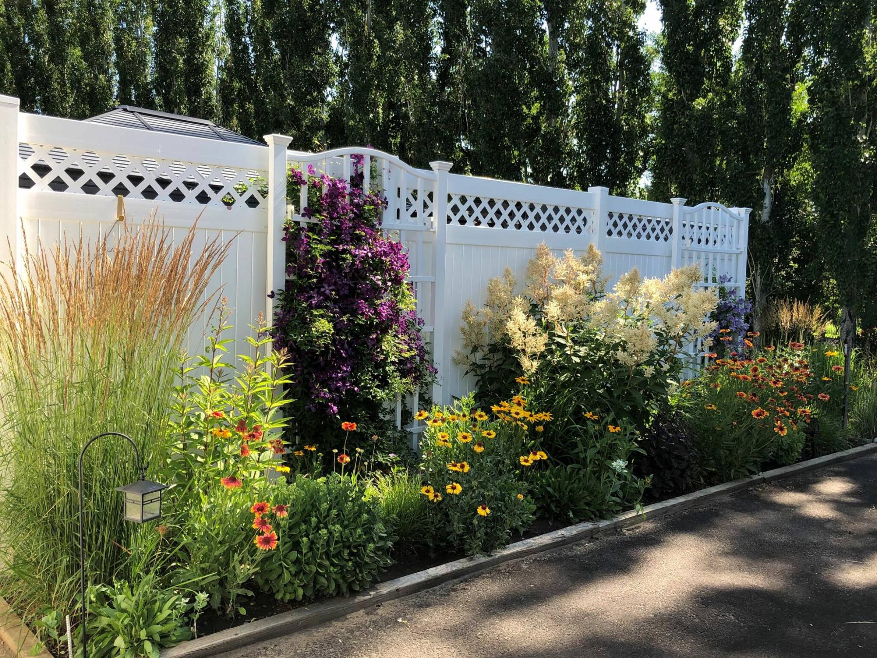  <p>Marilyn Kusler</p>
                                <p>A lush and lovely mixed border with drought tolerant grasses and flowering perennials in a Medicine Hat garden.</p> 