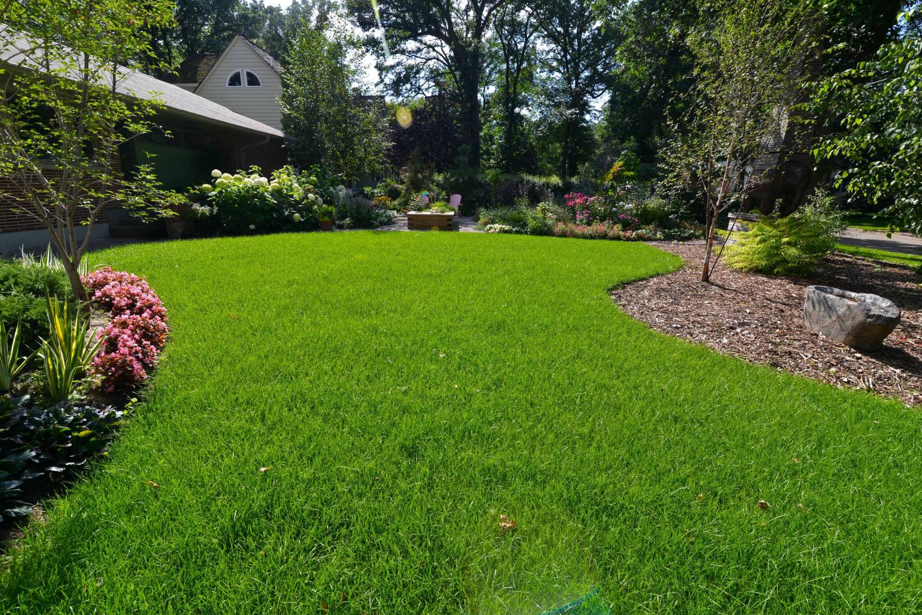  <p>Becky Slater photo</p>
                                <p>A lush, hydrated lawn like this one increases resilience, while a lawn that is dried out is a fire risk.</p> 