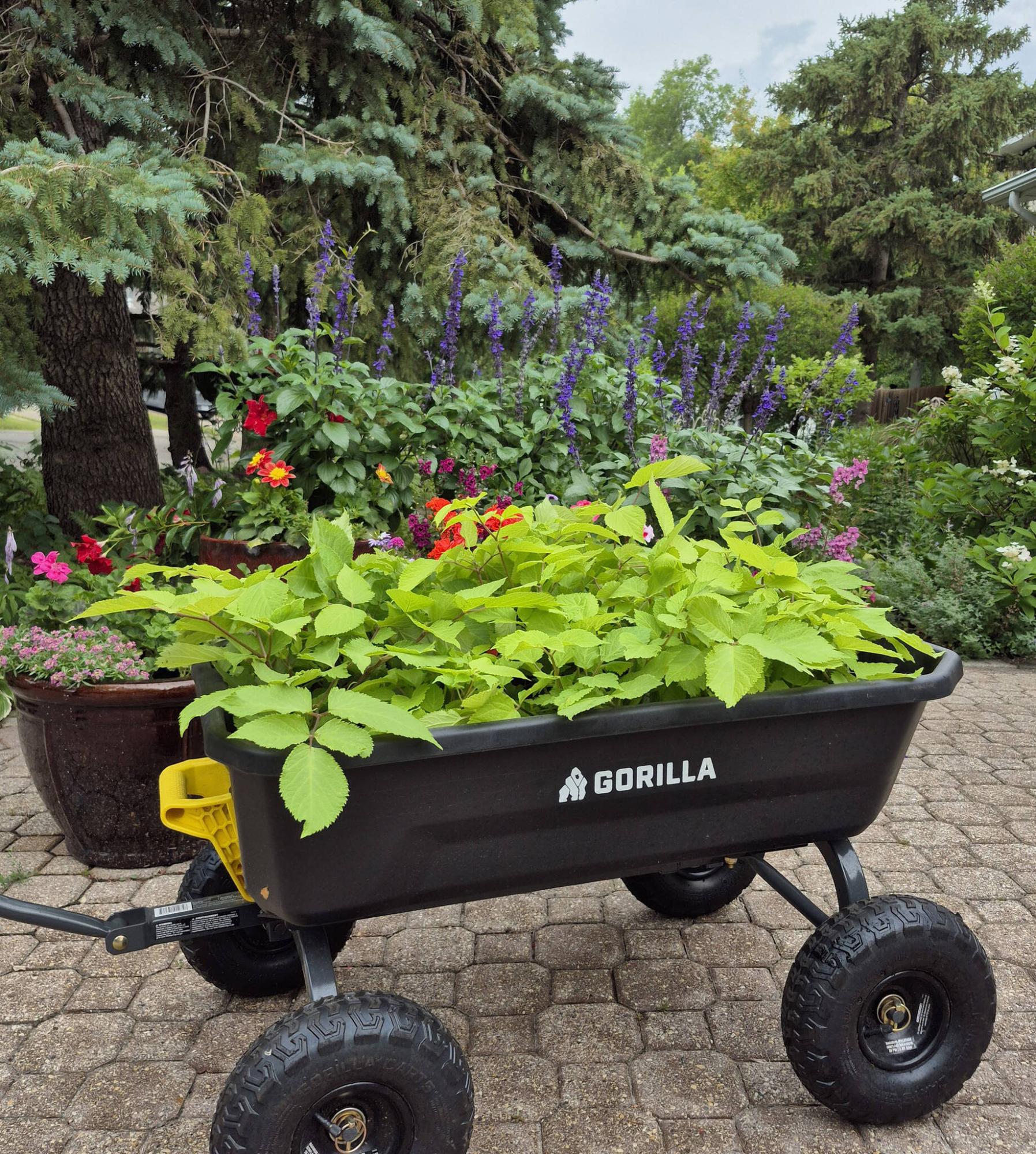  <p>Colleen Zacharias / Free Press</p>
                                <p>Use the sturdy Gorilla Cart sold at Princess Auto for hauling your plants, soil, bark chips and more.</p> 