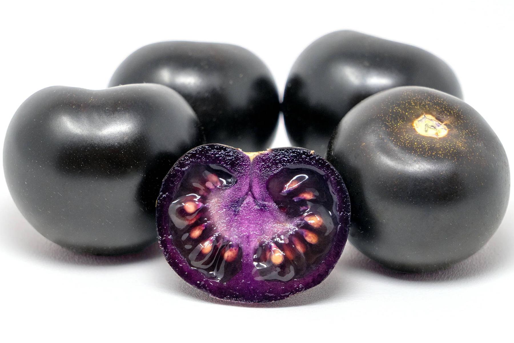  <p>Norfolk Healthy Produce photo</p>
                                <p>The genetically modified seeds of the Purple Tomato are the first GM seeds to be marketed to home gardeners in Canada.</p> 