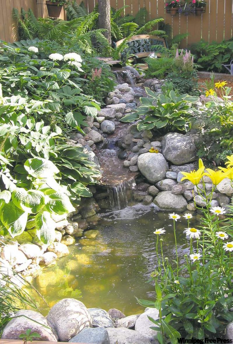 A dramatic effect can be achieved by adding stones and boulders to a water garden.