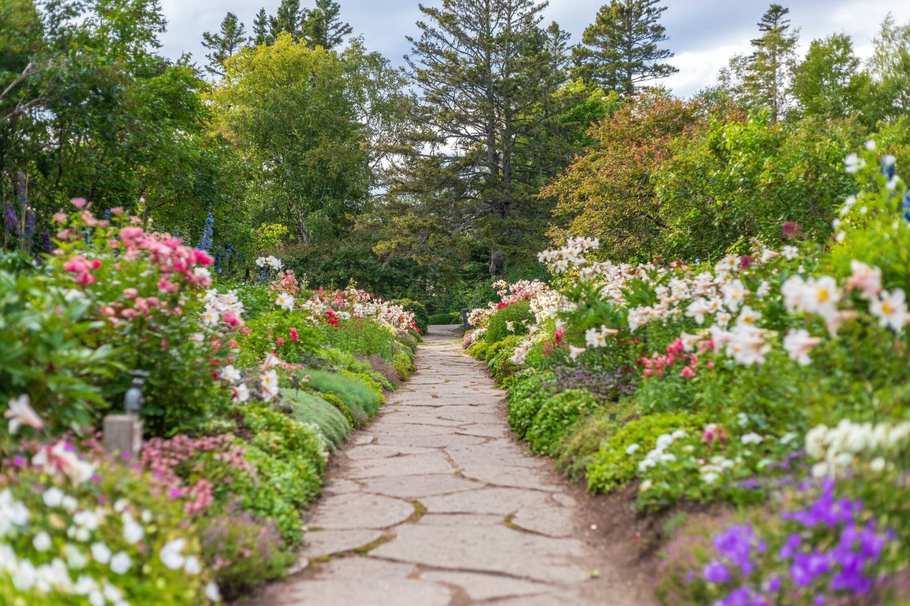  <p>JC Lemay photo</p>
                                <p>Plants are the main focus in this traditional landscape at Les Jardins de M&#233;tis in Grand-M&#233;tis, Que.</p> 