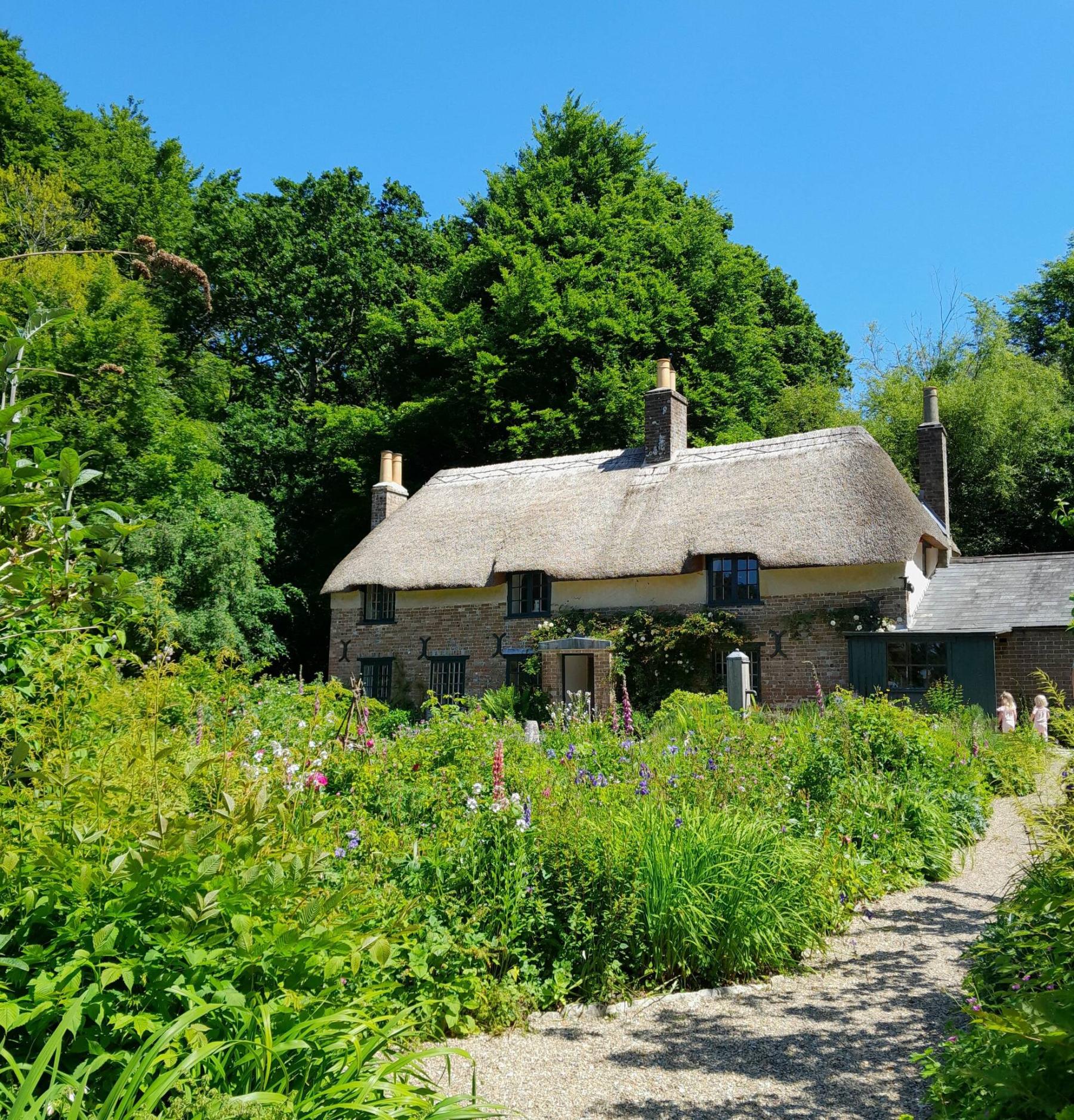  <p>Phil Broomfield photo</p>
                                <p>A traditional cottage garden frames Thomas Hardy&rsquo;s birthplace cob and thatch cottage, built by his great-grandfather in 1800.</p> 