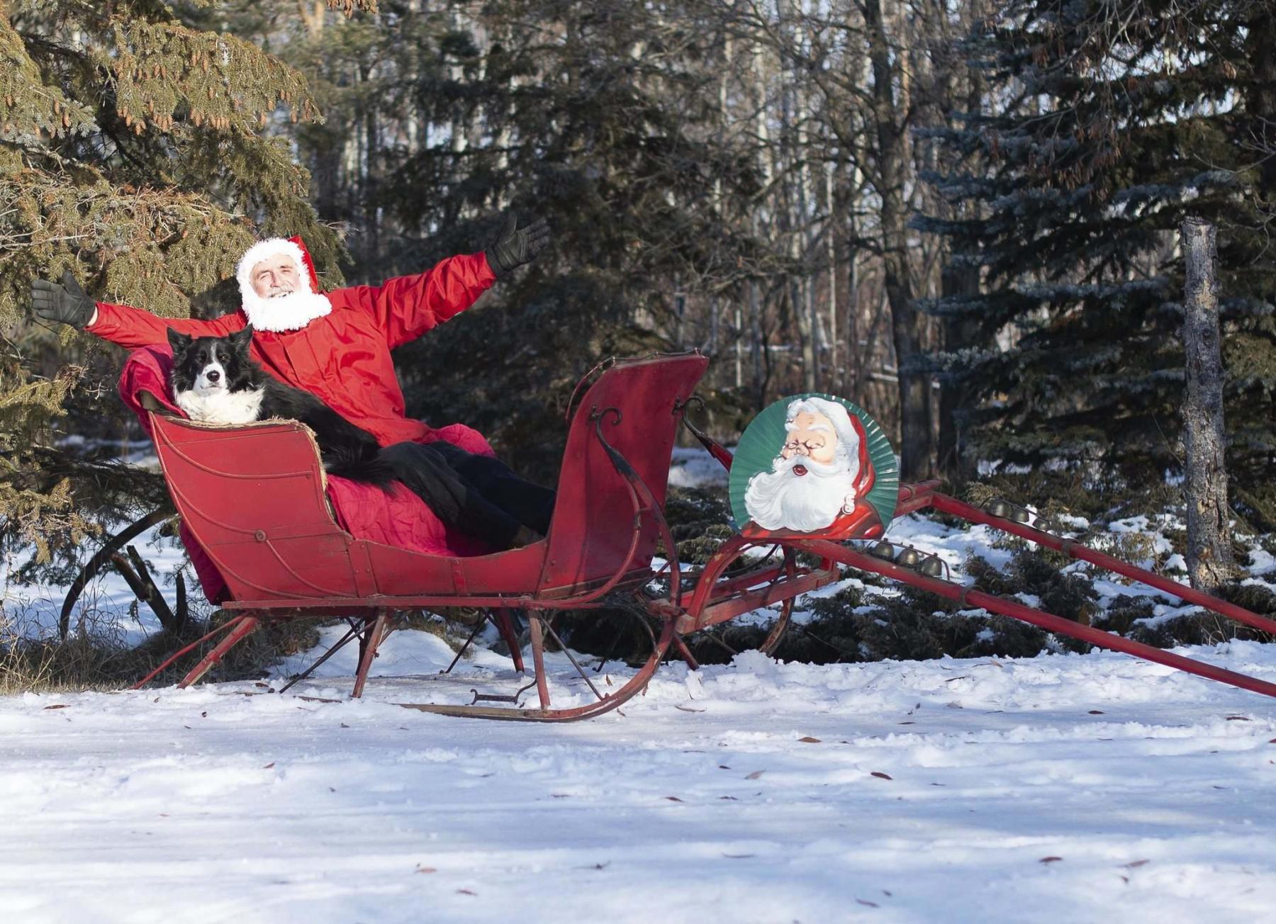 <p>BEVERLY JOHNSON</p><p>Laurie plans to kick his till-now dormant Christmas decorating skills into overdrive with his new sleigh.</p>