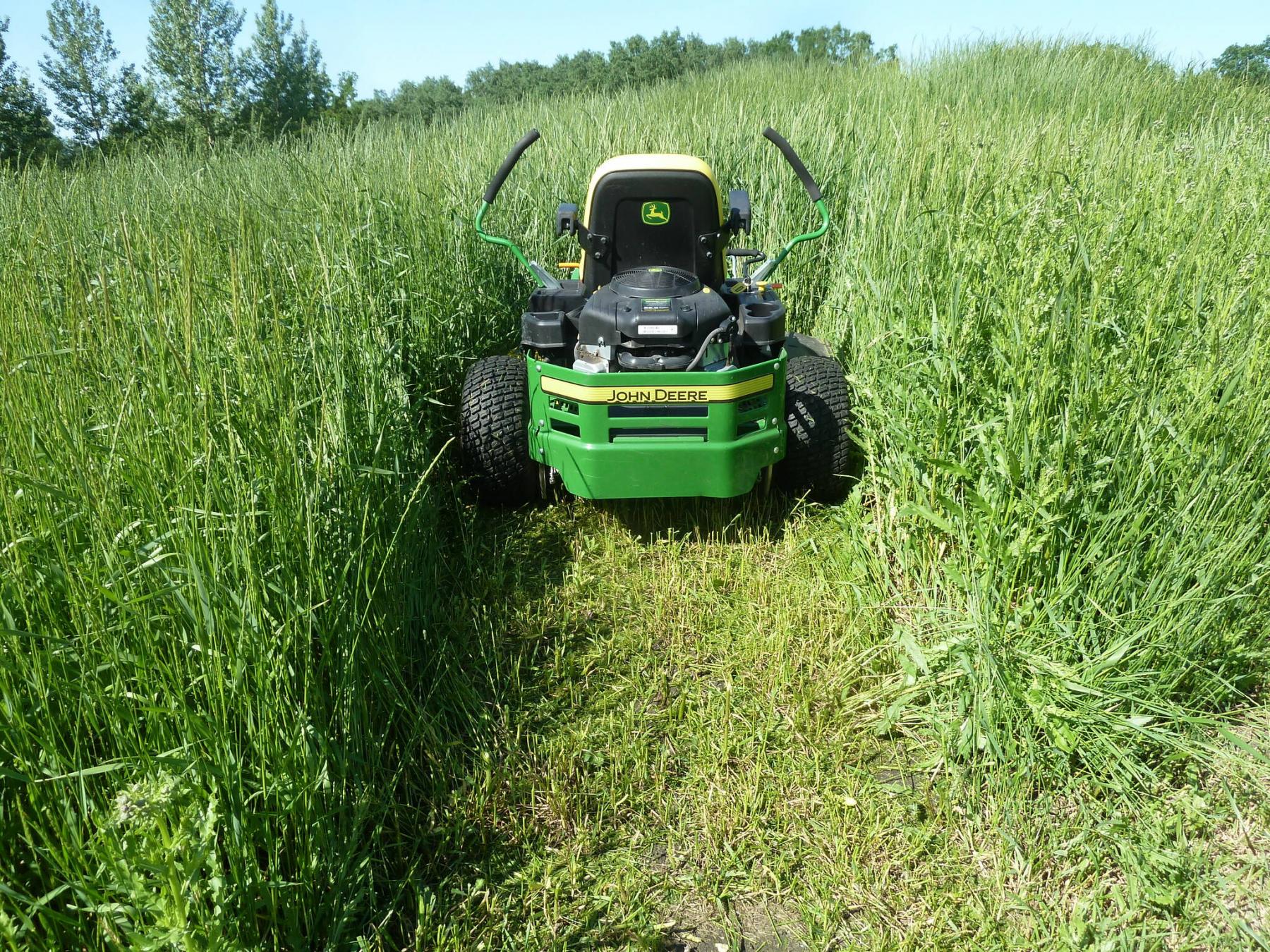 <p>Laurie Mustard / Winnipeg Free Press</p><p>Nothing chomps grass like a hungry Deere.</p>