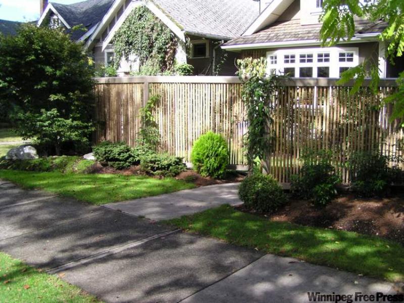 This natural-look trellis does double duty as a fence. 