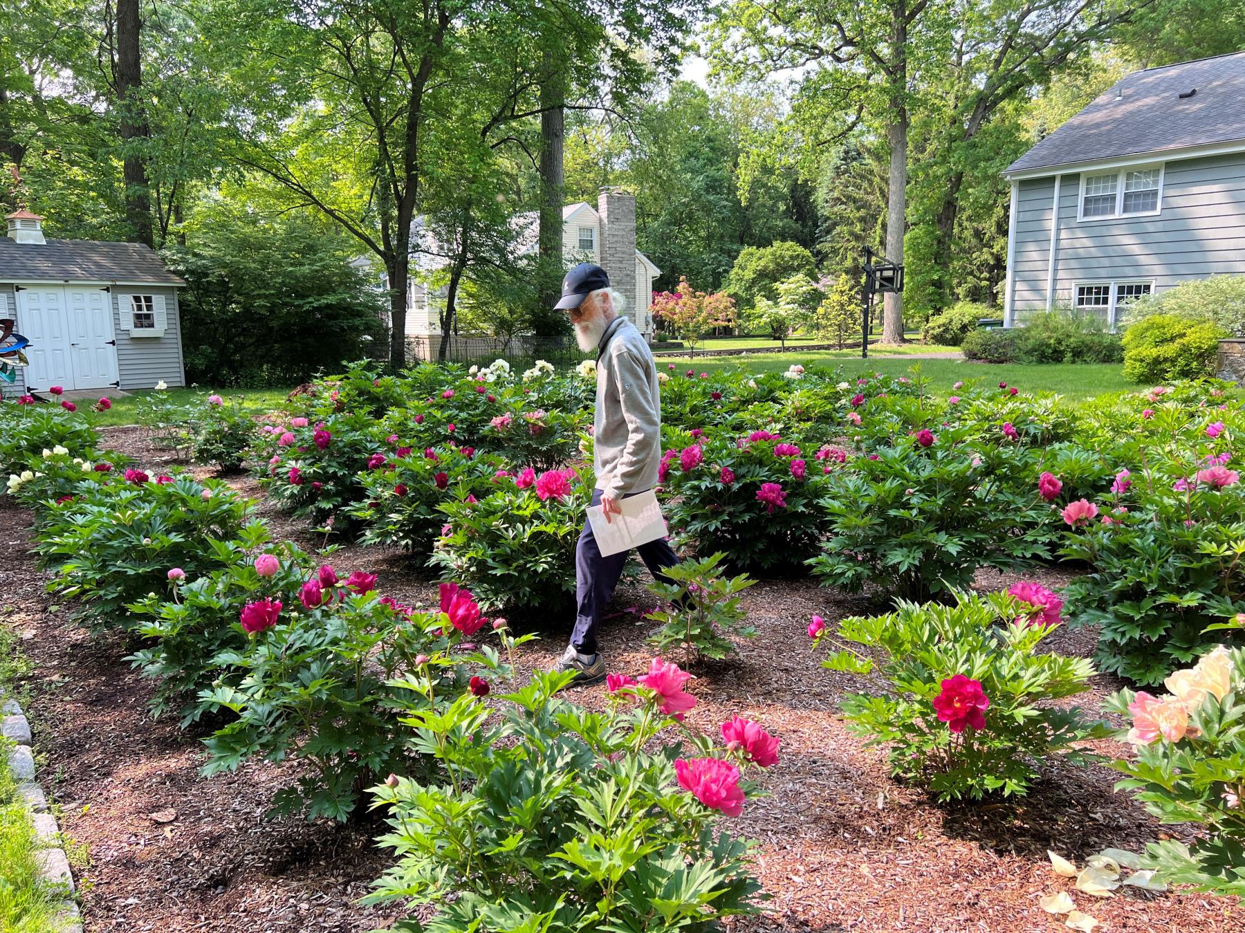  <p>PLANTS NOUVEAU PHOTO</p>
                                <p>Renowned peony hybridizer Donald Smith, a former atmospheric research physicist, is a self-described serious amateur breeder who develops new and improved intersectional peonies.</p> 