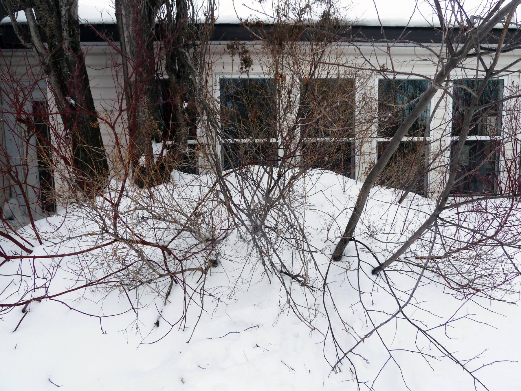 <p>Laurie Mustard / Winnipeg Free Press</p><p>Mustard was hoping to shovel snow off his roof to this spot, but had to change plans as he enjoys looking out those windows!</p>