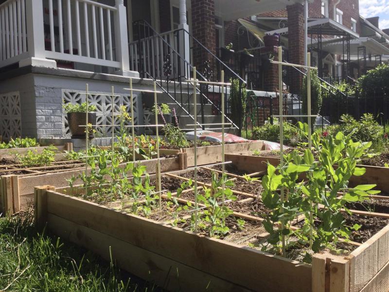 <p>Joe Yonan / Washington Post</p><p>Raised beds have gained in popularity, but they do require repairs and maintenance to ensure they don&rsquo;t rot over the years.</p>