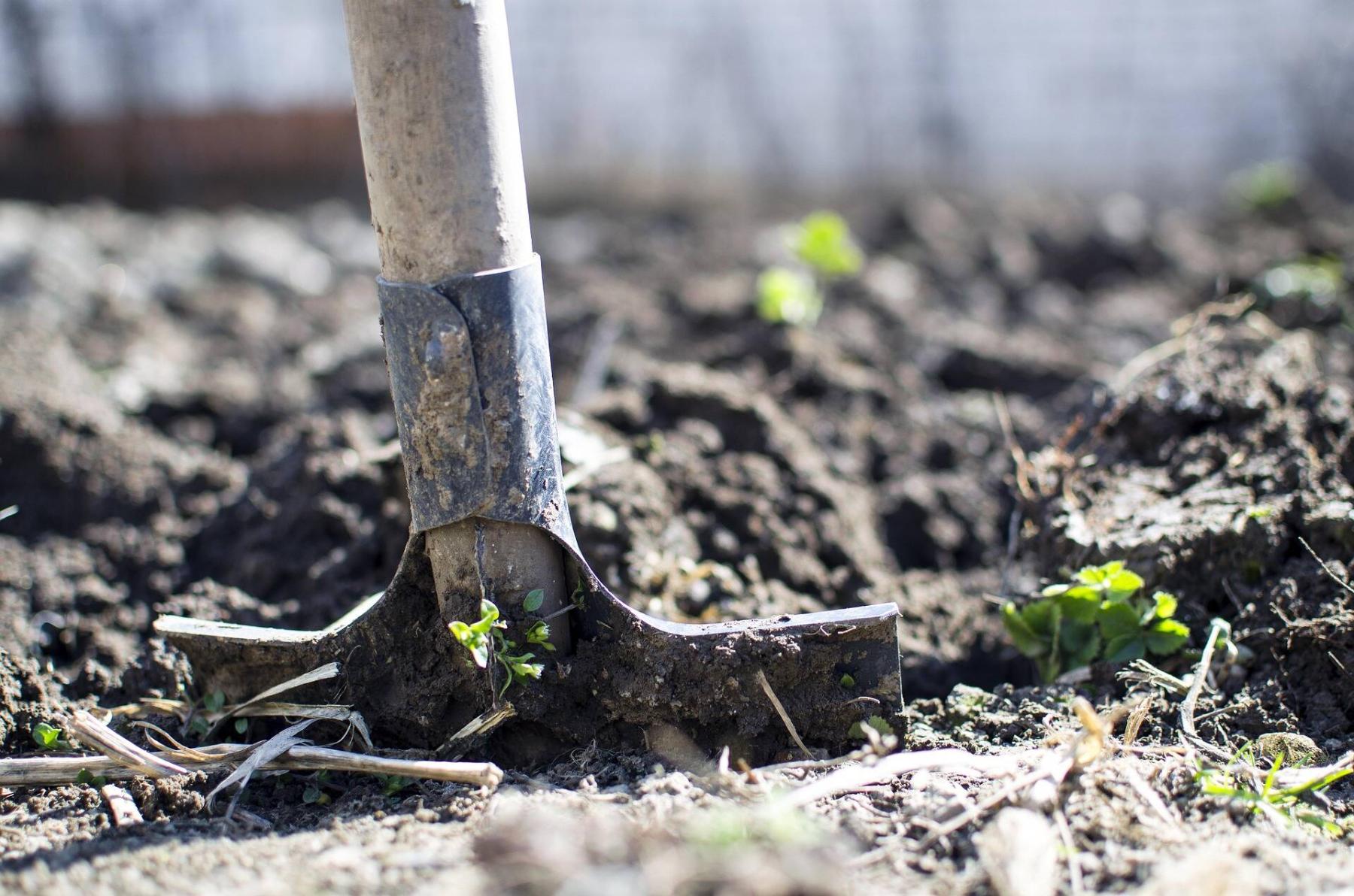  <p>Pixabay</p>
                                <p>Always find out if there are buried utility lines on your property before disturbing the ground.</p> 