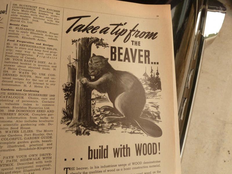 <p>Photos by Laurie Mustard / Winnipeg Free Press</p><p>As the guide says, take a page from the beaver&rsquo;s book when constructing your new home &mdash; they know how to give a dam!</p>