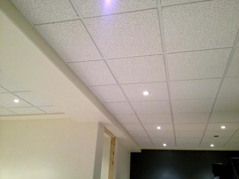 Sometimes only a suspended ceiling will do Winnipeg Free Press Homes