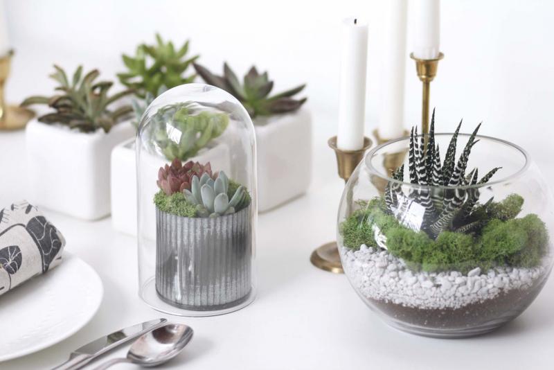 <p>Verde Plant Design</p><p>Dress up your succulents and air plants for the holidays with bubble terrariums and petite cloches. </p>