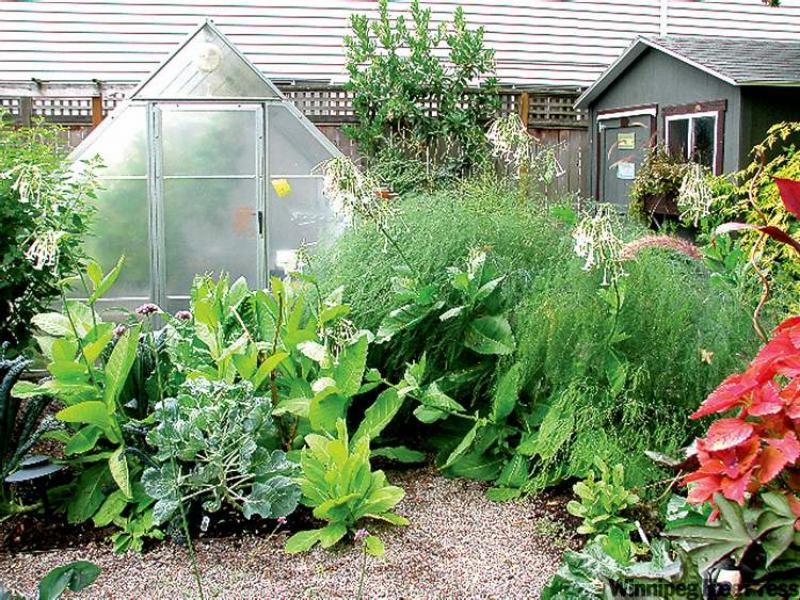 Composting is the ticket to good garden soil, say the authors of No Guff Vegetable Gardening.