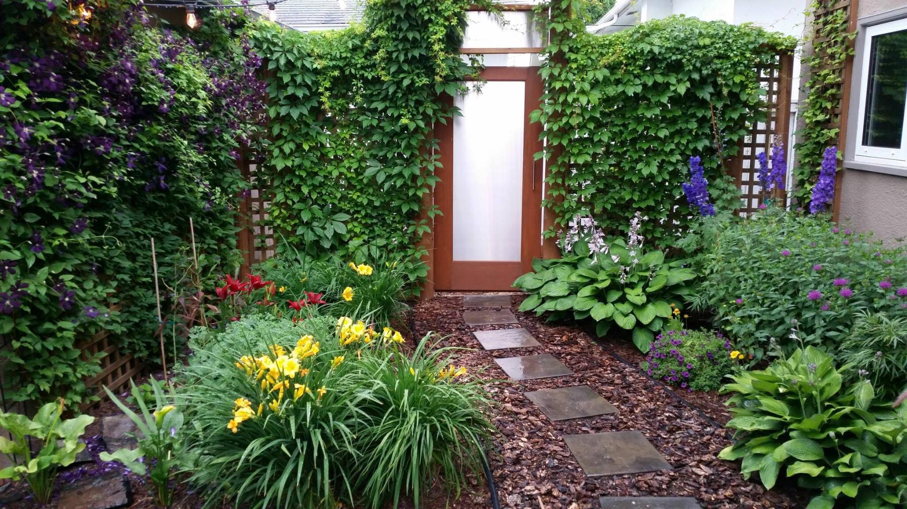  <p>Erroll billinkoff</p>
                                <p>This jewel of a garden is enhanced by Clematis Jackmanii vines growing on a trellis on the outer wall of the homeowner&rsquo;s garage.</p> 