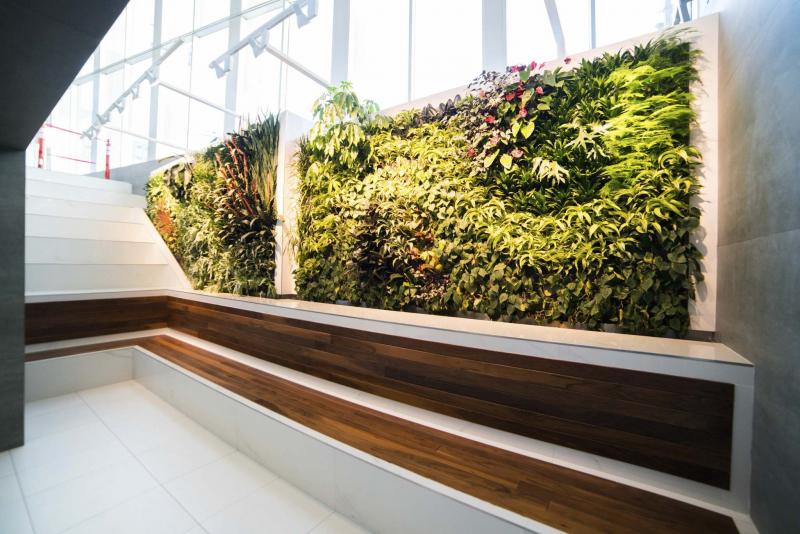 Green walls sprouting up in Winnipeg - Winnipeg Free Press Homes