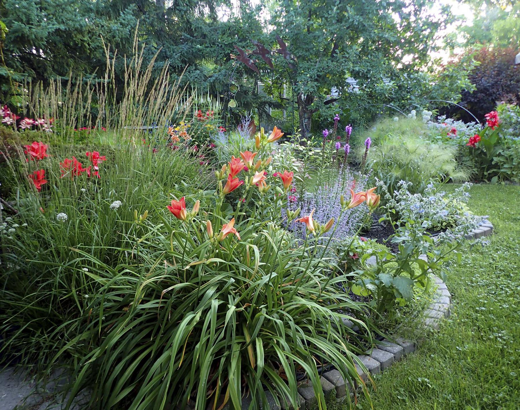 <p>Lush is the best way to describe this backyard garden. </p>