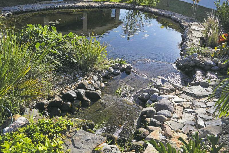 Kristen Alligood / The Associated Press
The pond designed by Sonny Alansky for the backyard of his home in Rockledge, Fla., has three waterfalls and 14 koi fish.