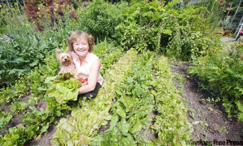 Carolyn Herriot has rows and rows of vegetables and berries in her garden. Here, with her dog Benji, she picks a bunch for the evening dinner in Victoria.